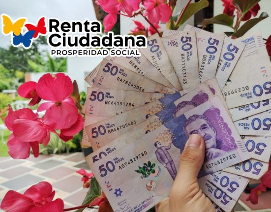 Renta Ciudadana