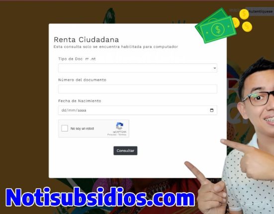 Fondo consulta sitio web Renta Ciudadana foto wintor abc en palabras notisubsidio.com